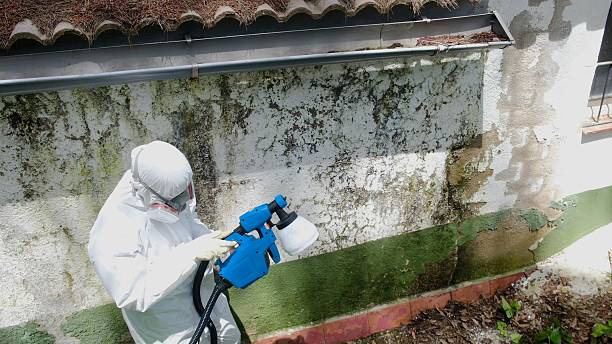 Top rated local Attic Mold Remediation specialists in Chaska, MN